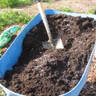 More Heat-Beating Garden Tips