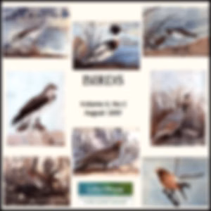Birds, Vol. II, No 2, August 1897 by Various