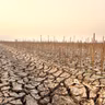 5 fakta om El Niño: Vejrfænomenet, der kan mærkes verden over
1. Større sandsynlighed for oversvømmelser
2. Flere tørker
3. El Niño påvirker økonomien
4. Global opvarmning
5. Ikke endnu flere hedebølger i Danmark