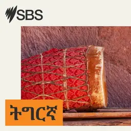 ዕለታዊ ዜና SBS ትግርኛ (30 ሓምለ 2026)