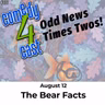 The Bear Facts