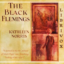 Black Flemings, The by  Kathleen Norris (1880 - 1966)