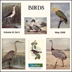 Birds, Vol. III, No 5, May 1898 by Various