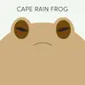 Cape Rain Frog | Week of July 20th