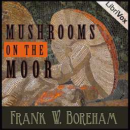 Mushrooms on the Moor