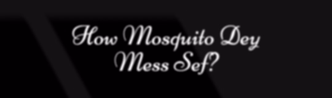 How Mosquito Dey Mess Sef? Note1
