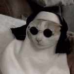 catarina