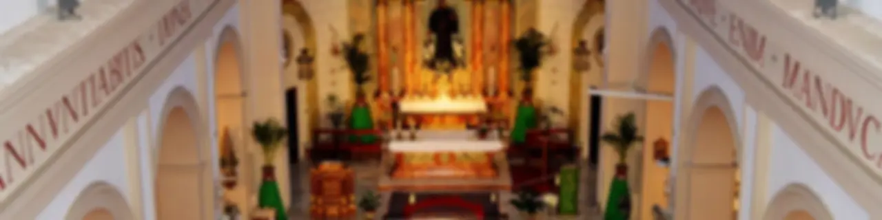 Crónicas de San Pedro Alcántara