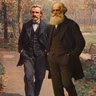 Por que Nietzsche não gostava de Charles Darwin?