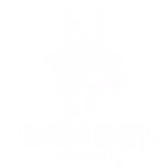 Studio Lince