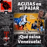 ¡QUÉ VAINA VENEZUELA!
