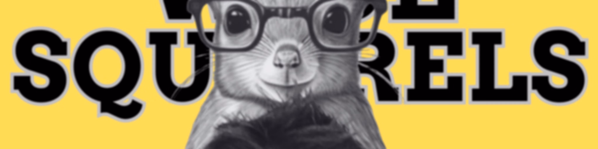 ADHD Wise Squirrels for late-diagnosed adults with ADHD.