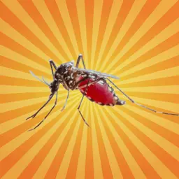 Le moustique se souvient de l'odeur des insecticides !
