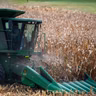 ACA disenrollment, Farm diesel prices, Alignment recovery tour