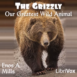 Grizzly, Our Greatest Wild Animal