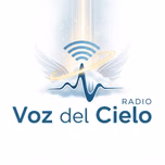 vozdelcielo