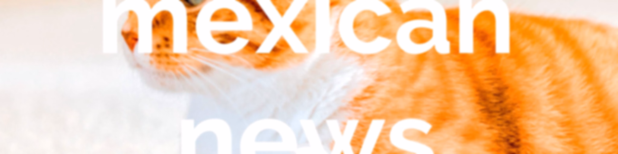 mexican news