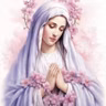 NOVENA NOVE MESES COM MARIA - 12/06 - 80º DIA