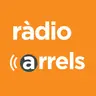 L’APLEC organitza l’Escola d’Estiu els pròxims 6 i 7 de juliol - Miriam Almarcha Paris