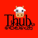 Thub Radio