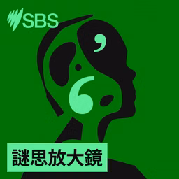 謎思放大鏡