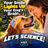 Your Smile Lights Up Your Dog’s Brain