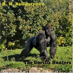 Gorilla Hunters