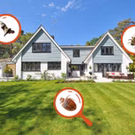 Pest Control Services in Lakewood, CA