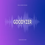 Goodyzer