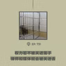 【第731期】404文库：“权力若不被关进笼子，律师和媒体就会被关进去”（外二篇）