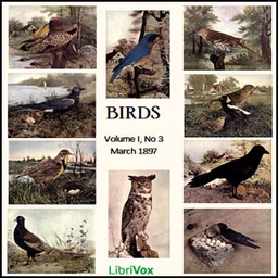 Birds, Vol. I, No 3, March 1897 by Various