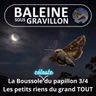 S08E14 La Boussole céleste du papillon 3/4 : S'émerveiller des petits riens... du grand TOUT