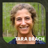 Ask Me Anything, Part 3: Tara Answers Questions on Forgiveness, Injustice & Compassionate Parenting