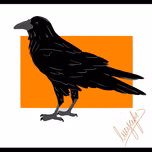 THE CROW RADIO ROCK
