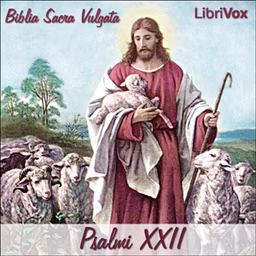 Bible (Biblia Sacra Vulgata) 19: Psalmi XXII by Biblia Sacra Vulgata