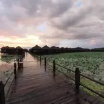 Arker Myint Mo Channel