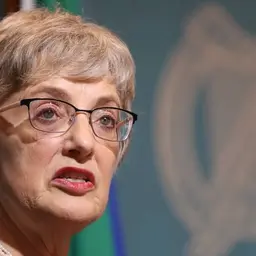 Former minister Zappone sent letter of concern over Bessborough site