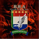 BRA Radio