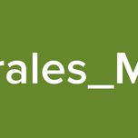 Ernesto Morales_MR17-I01-001