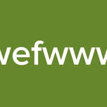 wefwww
