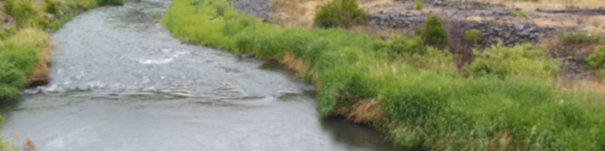 THE KLICKITAT VOICE