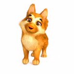 ne blesse pas le chien
