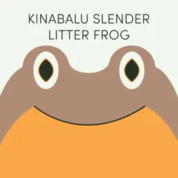 Kinabalu Slender Litter Frog | Week of June 1st
