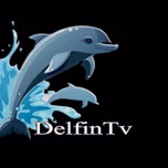 DELFINTV