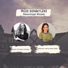 Müze Sohbetleri / İdil Deniz Türkmen