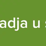 pogadja u srce