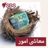 Small Business big cities: What is defined as "Small Business"? - چھوٹا کاروبار بڑا شہر: چھوٹے کاروبار کی اصل تعریف کیا ہے