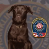 Episode 16- The Police K-9