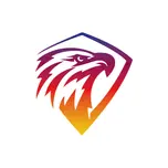 HAWKS AUDIO