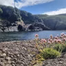Clár 288; Leathchéad bliain ó dfhág Tim Severin agus a chriú Cuas a' Bhodaigh